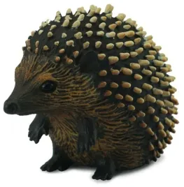 jez-s-collecta
