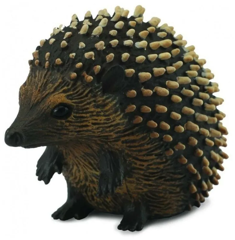 jez-s-collecta