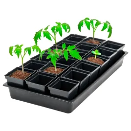 doniczki-produkcyjne-do-rozsad-kwadratowe-05l-z-podstawka-56-cm-x-315-cm