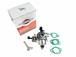 briggs-gaznik-592236-oryginal