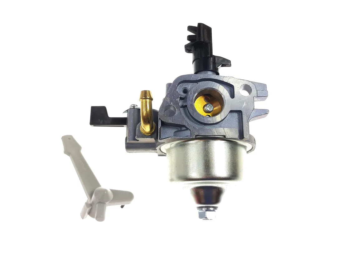 briggs-gaznik-592236-oryginal
