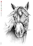 papier-ryzowy-animals-0165-a4