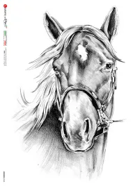 papier-ryzowy-animals-0165-a4