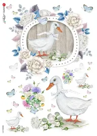 papier-ryzowy-animals-0075-a4