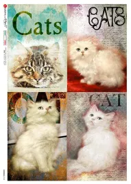 papier-ryzowy-animals-0142-a4