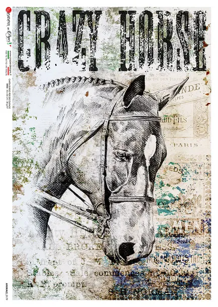 papier-ryzowy-animals-0179-a4
