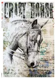 papier-ryzowy-animals-0179-a4