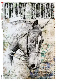 papier-ryzowy-animals-0179-a4