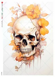 papier-ryzowy-skull-0044-a4