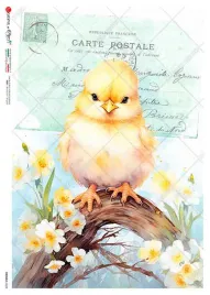 papier-ryzowy-animals-0238-a4