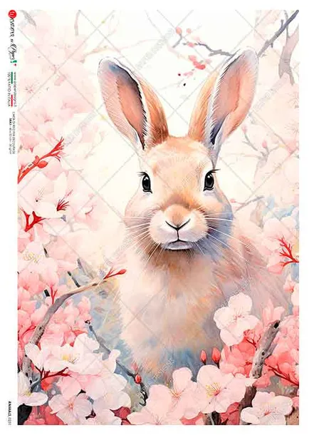 papier-ryzowy-animals-0231-a5