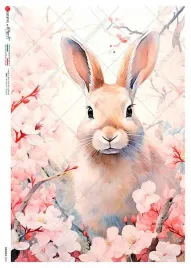 papier-ryzowy-animals-0231-a5