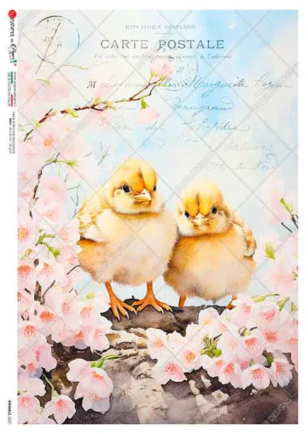 papier-ryzowy-animals-0237-a5