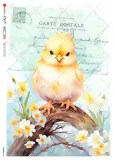 papier-ryzowy-animals-0238-a5
