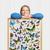 puzzlove-czuczu-motyle-200-el-liczba-elementow-200