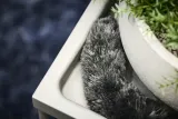 zestaw-akcesoriow-electrolux-kit20-marka-odkurzacza-electrolux-rodzaj-oryginal
