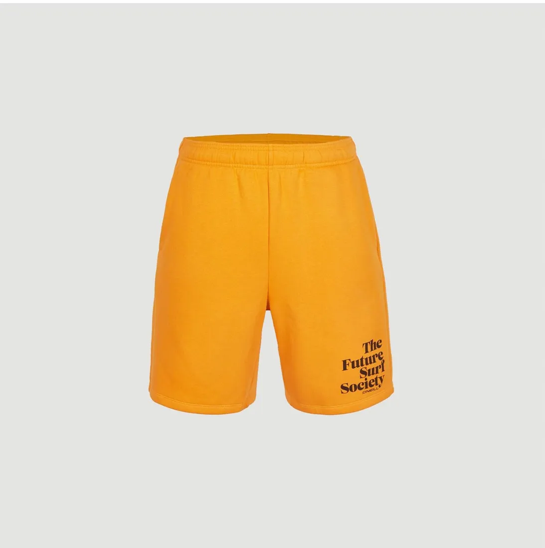 meskie-spodenki-future-surf-short-m