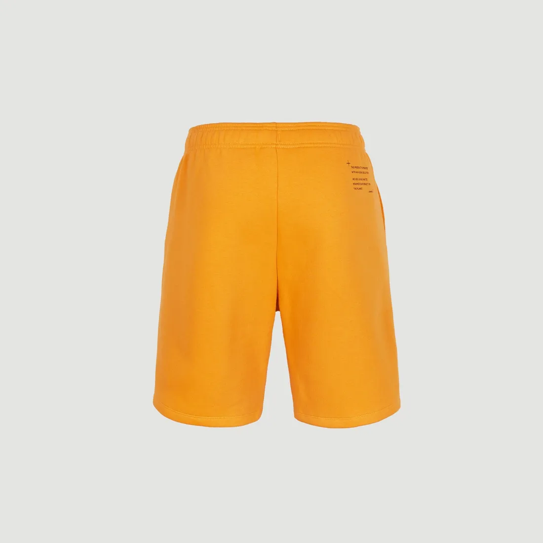 meskie-spodenki-future-surf-short-m