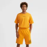 meskie-spodenki-future-surf-short-m-marka-o-neill