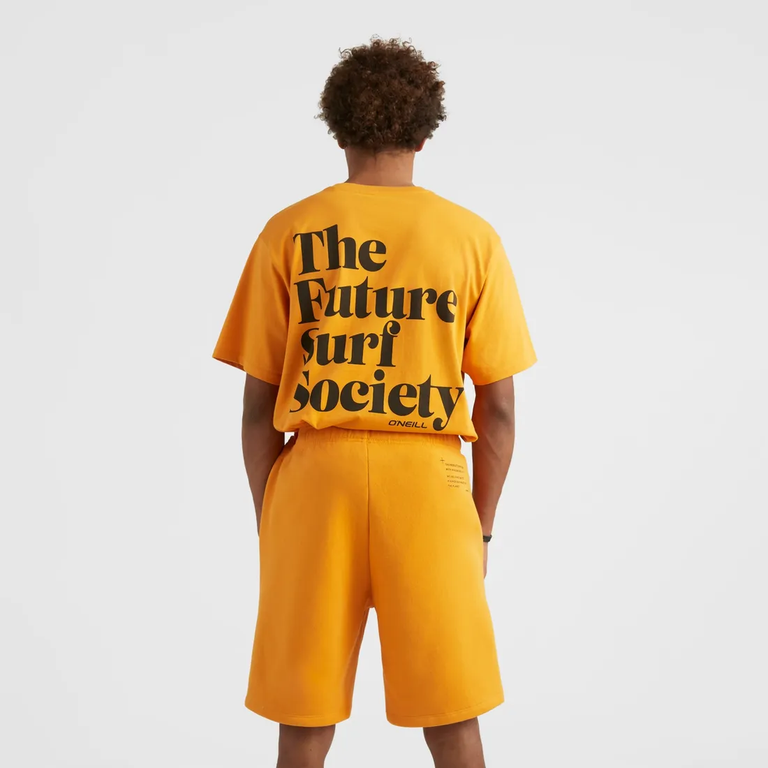 meskie-spodenki-future-surf-short-m