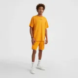 meskie-spodenki-future-surf-short-m-material-dominujacy-bawelna