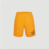 meskie-spodenki-future-surf-short-s