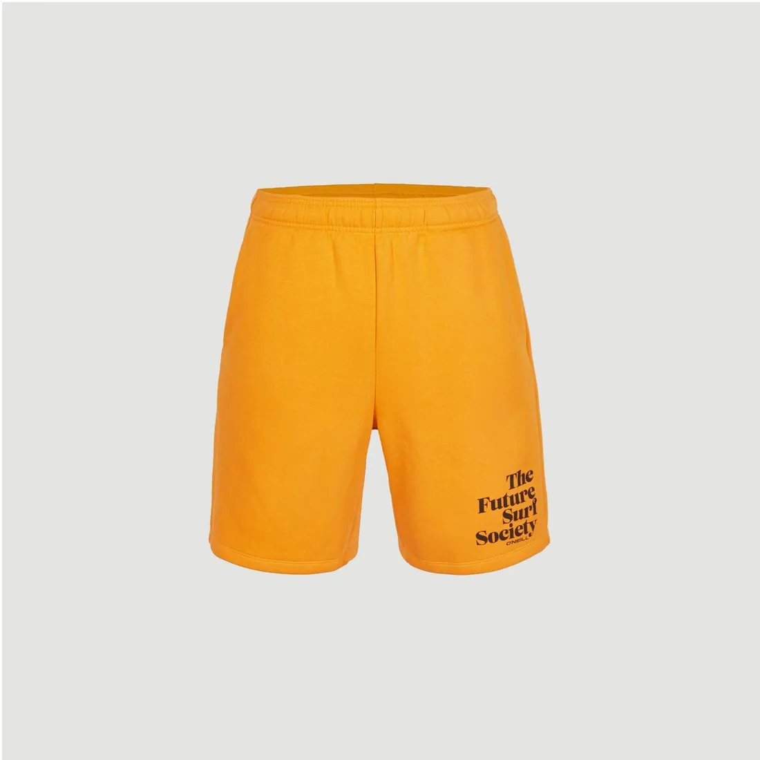 meskie-spodenki-future-surf-short-s
