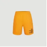 meskie-spodenki-future-surf-short-l