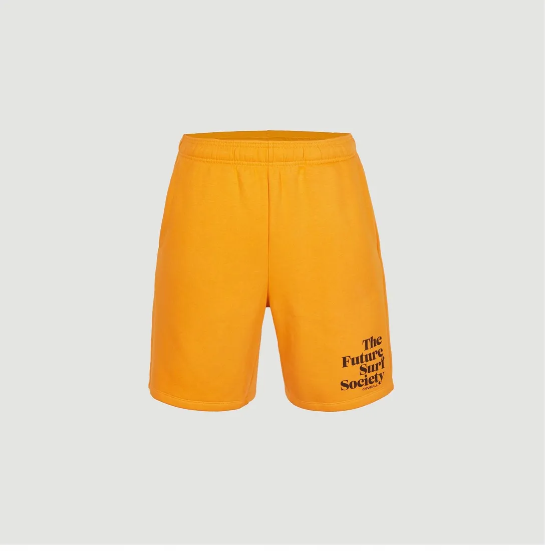 meskie-spodenki-future-surf-short-l