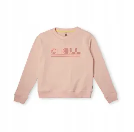 dziecieca-bluza-all-year-crew-140
