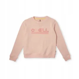 dziecieca-bluza-all-year-crew-152