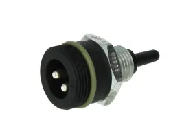 czujnik-temperatury-powietrza-dolotowego-0281002046-bos