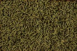 glopex-algen-sticks-100g-pokarm-dla-ryb