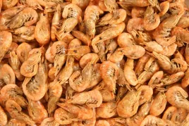 glopex-krewetka-suszona-shrimps-100g-pokarm-dla-ryb