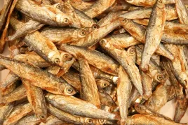 glopex-stynka-suszona-dla-zolwia-100g-pokarm