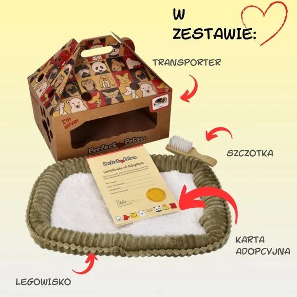 szczeniaczek-oddychajacy-bernardyn-bohater-brak