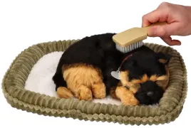 zaaodoptuj-mnie-szczeniaczek-oddychajacy-owczarek-niemiecki