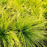 kostrzewa-walberla-p9-c1-producent-inna