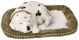 perfect-petzzz-zaadoptuj-oddychajacego-dalmatynczyka