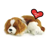 oddychajacy-szczeniaczek-cavalier-stan-nowy