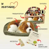 oddychajacy-szczeniaczek-cavalier-stan-nowy-marka-melissa-and-doug