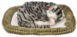 zaaodoptuj-mnie-kociak-oddychajacy-pregowany-szary