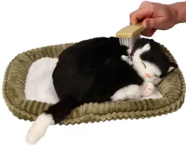 zaaodoptuj-mnie-kociak-oddychajacy-czarno-bialy-dachowiec