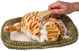 zaaodoptuj-mnie-kociak-oddychajacy-pregowany-rudy