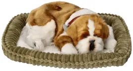 szczeniaczek-oddychajacy-bulldog