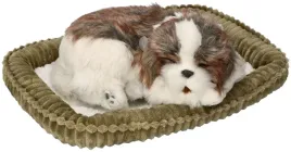 zaaodoptuj-mnie-szczeniaczek-oddychajacy-shih-tzu