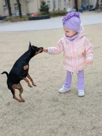 kurtka-pikowana-krolik-parka-romby-rozowe-plus-turban-i-komin-rozmiar-170