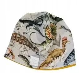 czapka-gatunki-dinozaurow