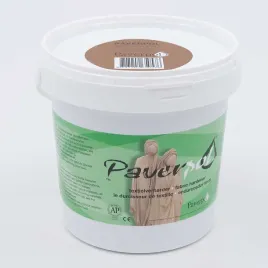 utwardzacz-paverpol-braz-1kg