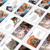 monopoly-koty-2025-minimalna-liczba-graczy-2